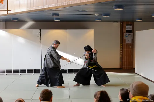 Copyright : Vincent Folliard